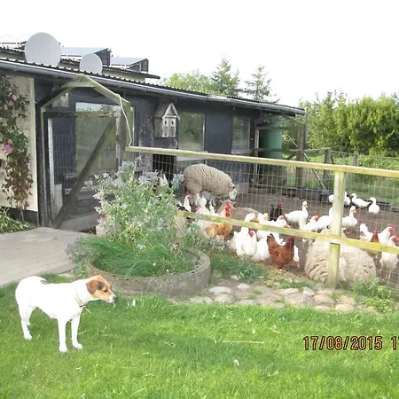 Frühstückspension Bakkegarden